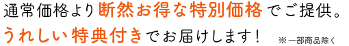 通常価格より断然お得な特別価格でご提供。うれしい特典付きでお届けします!